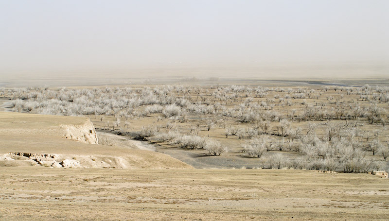 another Mongolian landscape another Mongolian landscape