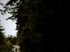 Chuckanut Drive